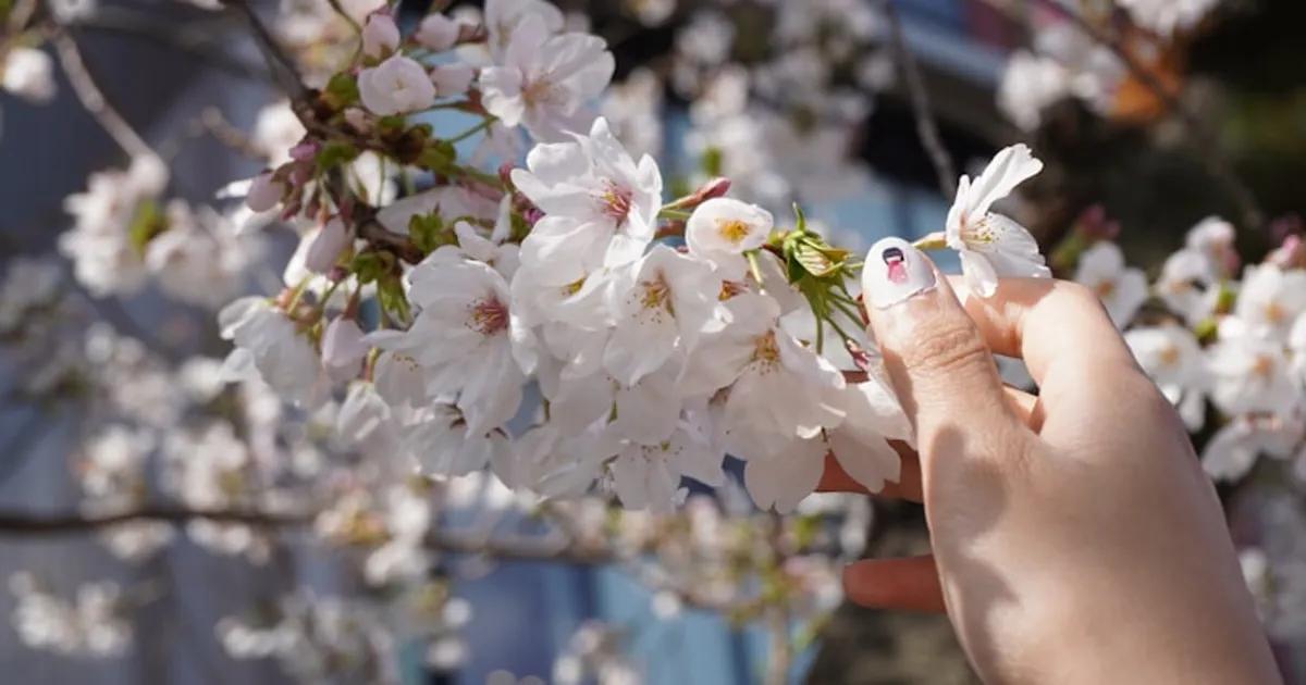 Beneficios de la Pedicura Regular para la Salud de tus Pies