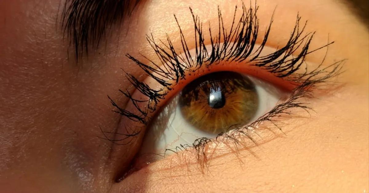 Lifting de Pestañas + Tinte: La Combinación Perfecta para Realzar tu Mirada en Gandía