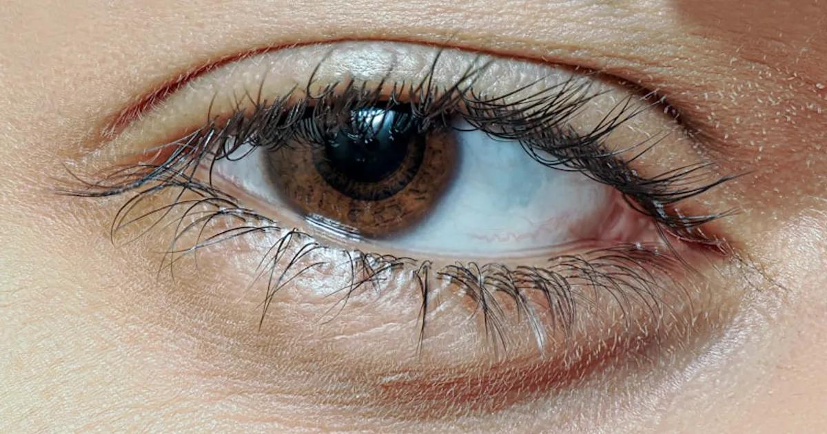 Tinte de Pestañas sin Lifting: Qué Es, Beneficios y Cuidados Completos